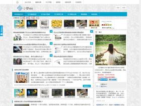 WordPress响应式主题Ality模板分享