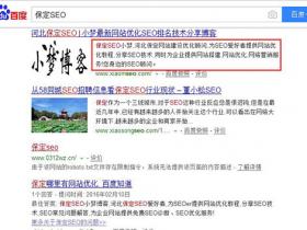 百度搜索结果网站下方描述不理想的N种可能