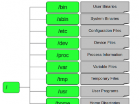 linux Centos根目录及每个目录的详细介绍